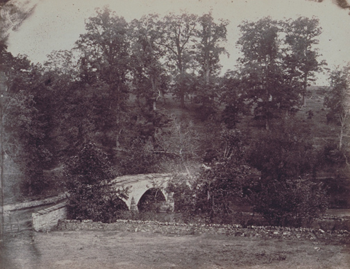 Gardner view - Burnside Bridge